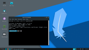 Linux Lite RDP