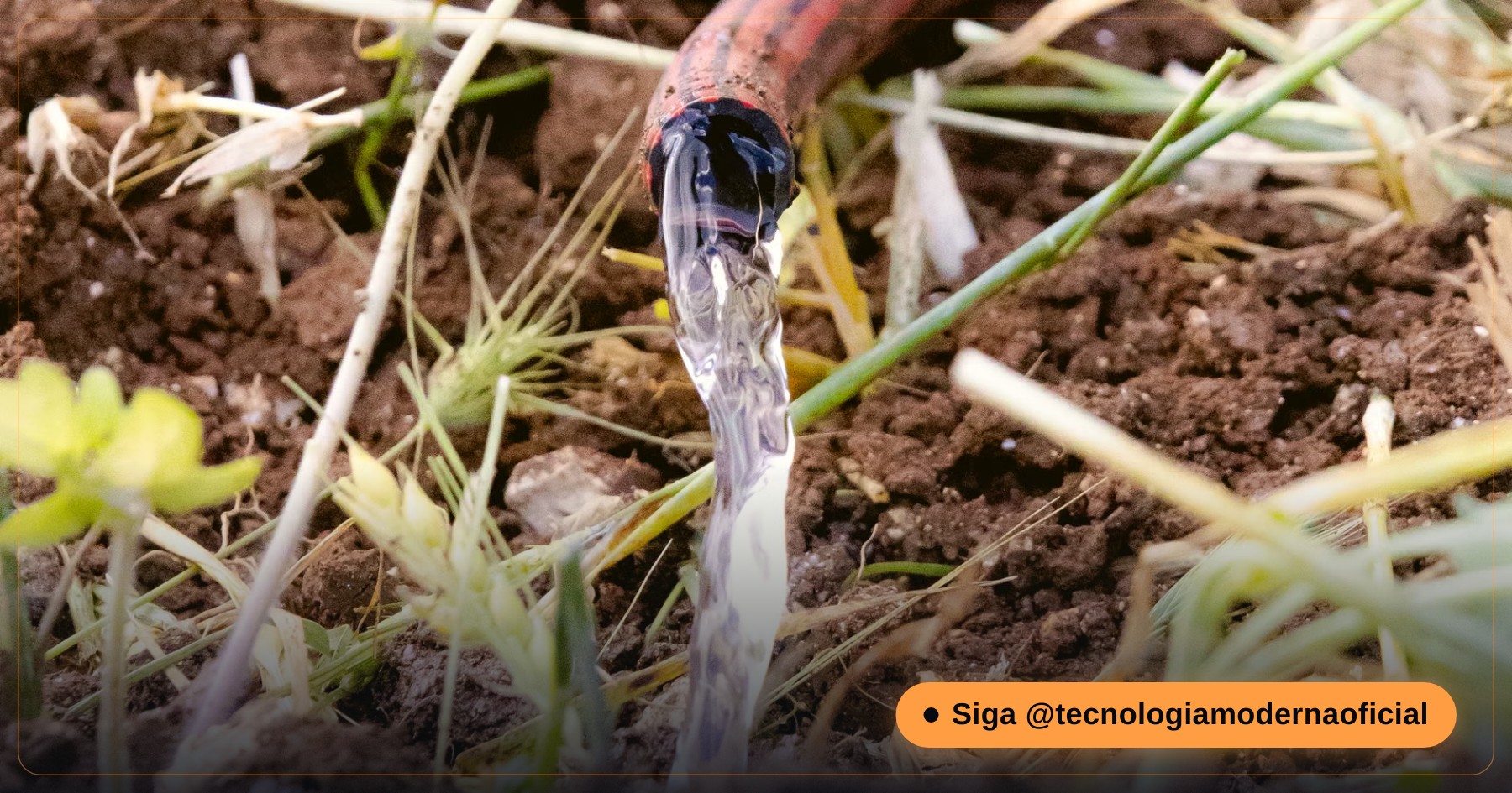 Sensor de umidade do solo instalado em um vaso de planta