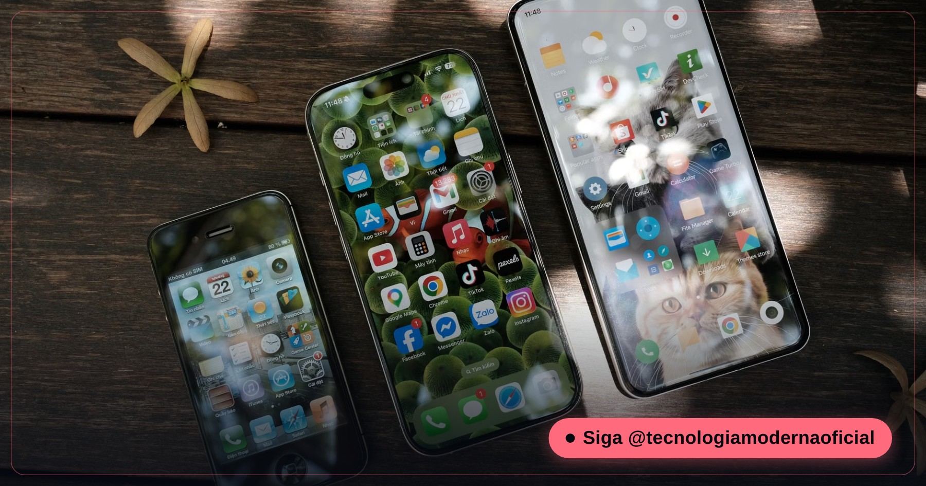 Celulares novos em exposição numa loja